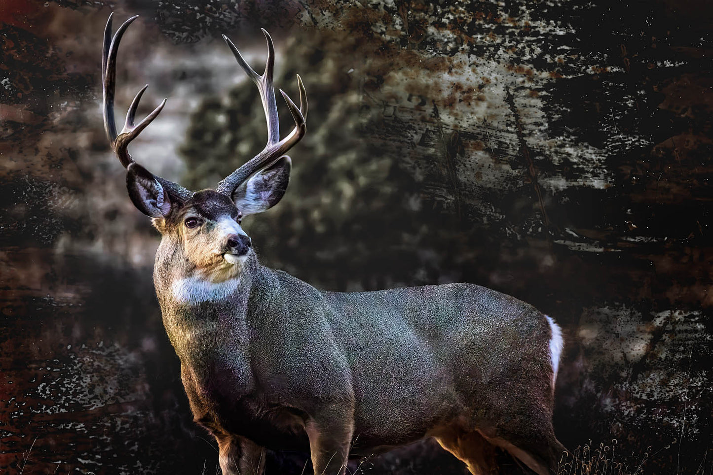 Big Buck Deer Wall Art – Man Cave Canvas Print