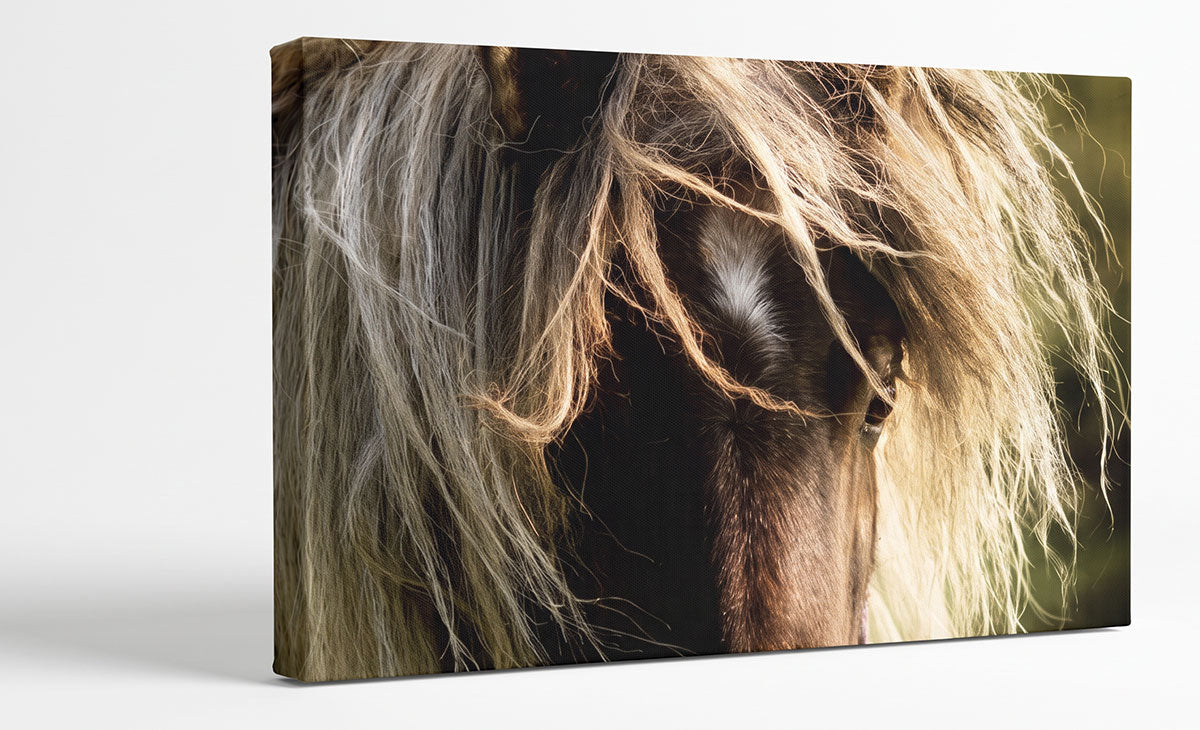 A rectangular canvas wall art print showing a close-up portrait of a horse with long golden-brown and cream mane hair, photographed against a clean white background.