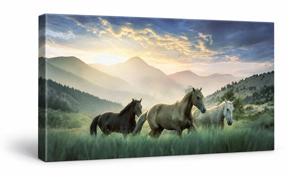 Canvas print mockup of horse herd running in mountain meadow