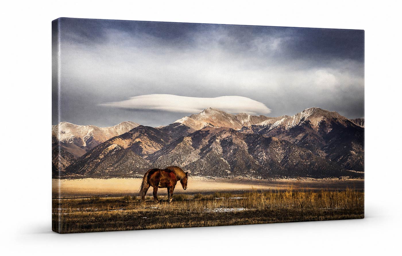 Lone horse standing in a mountain valley beneath dramatic clouds, displayed as a gallery-wrapped canvas print.