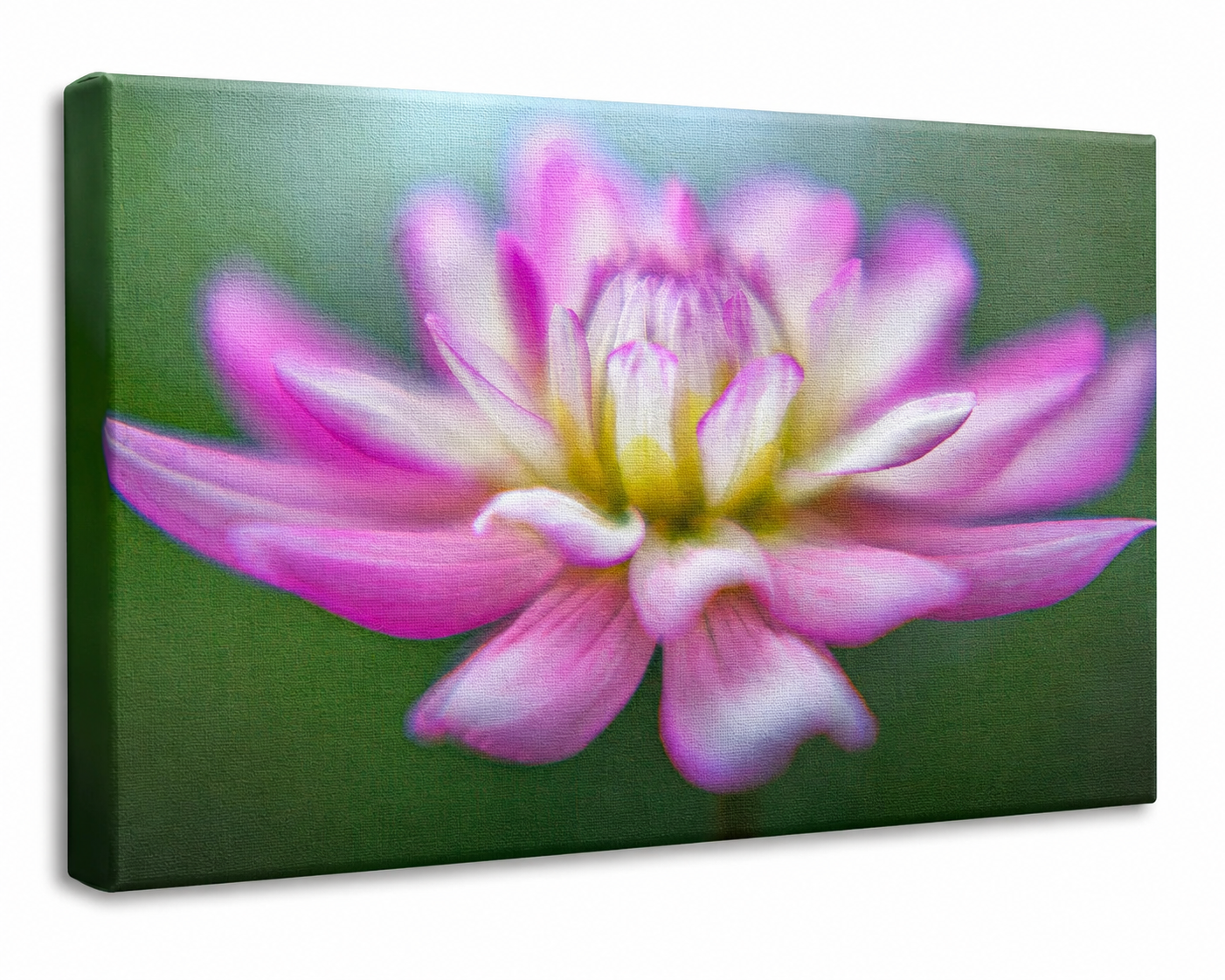 Pink Dahlia Wall Art gallery wrapped canvas print 3D product mockup showing premium museum-quality stretched canvas with visible canvas texture and depth.