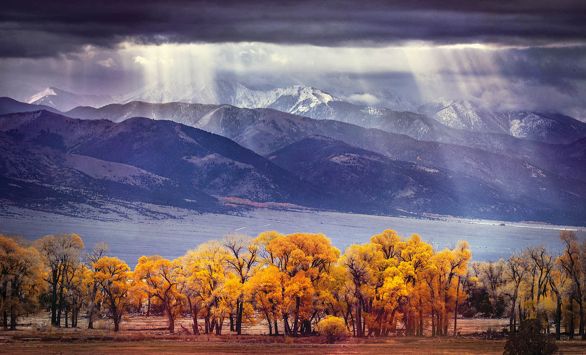 Colorado Fall Colors wall art with golden trees and mountain sunrays displayed in a dining room