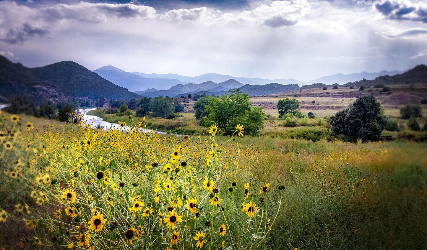 Rustic Mountain Wall Decor Wall Art – Canvas / Fine Art Print