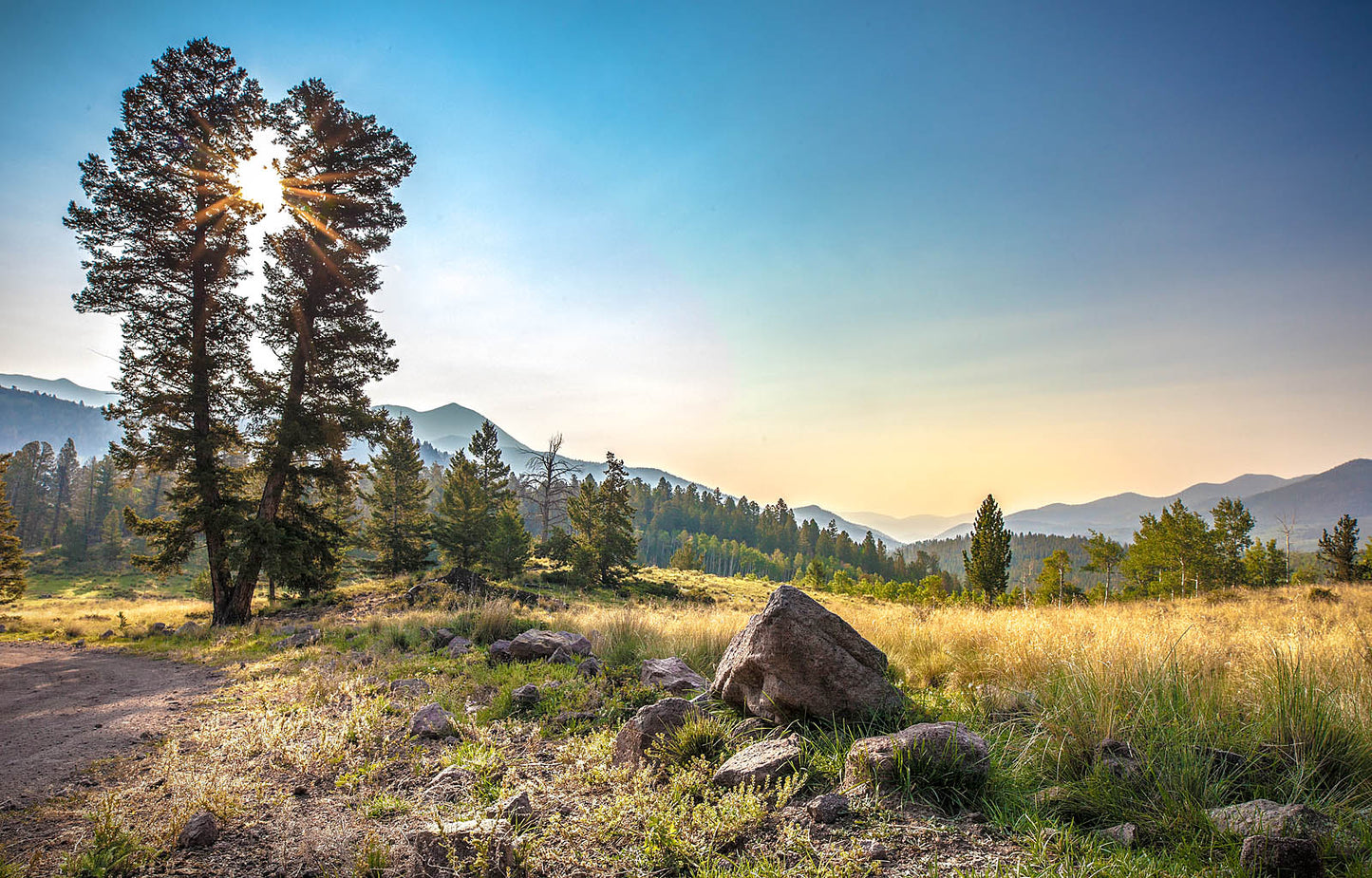 Rustic Mountain Wall Decor Wall Art – Sunburst Pines – Canvas Print / Fine Art Print