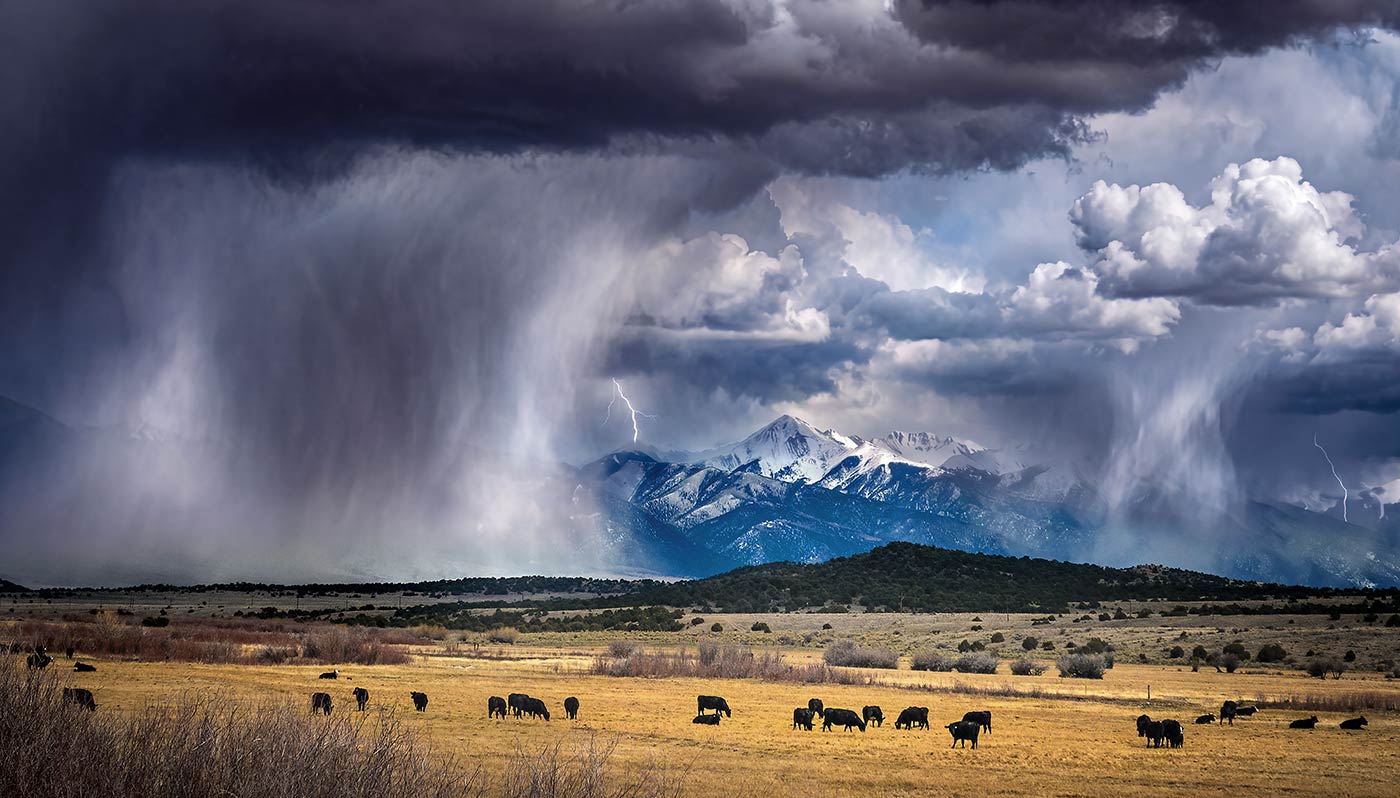 storm over mountain ranch cattle wall art canvas print