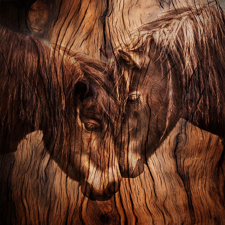 Wild Horse Wall Art That Brings Warmth, Freedom, and Rustic Beauty Into Your Home
