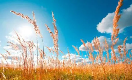How Desert Wall Art and Natural Landscapes Can Bring Comfort To Your Home