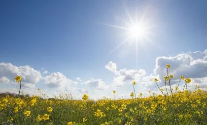 Enjoying nature reduces mortality, studies show