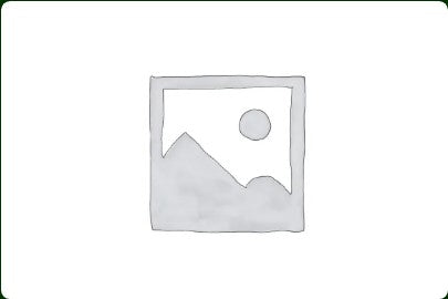 Lion Of Judah Wall Art