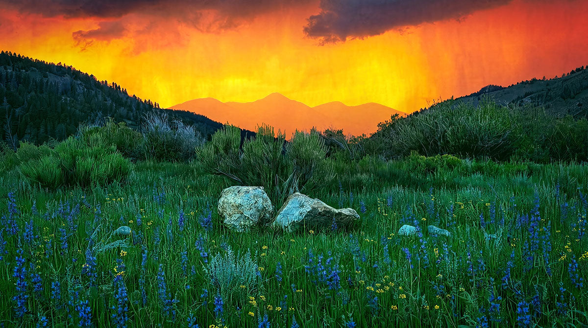 Fiery Mountain Sunset Wall Art – Wildflower Valley Canvas Print
