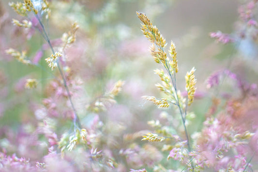 Soft Pastel Wildflower Meadow Wall Art – Dreamy Botanical Nature Print
