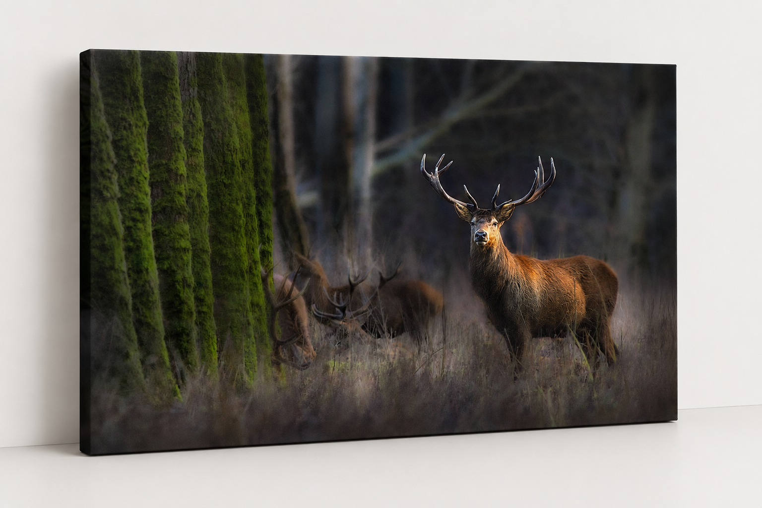 3D gallery wrapped canvas mockup of Antlered Deer Wall Art featuring a moody dark forest wildlife photography print.