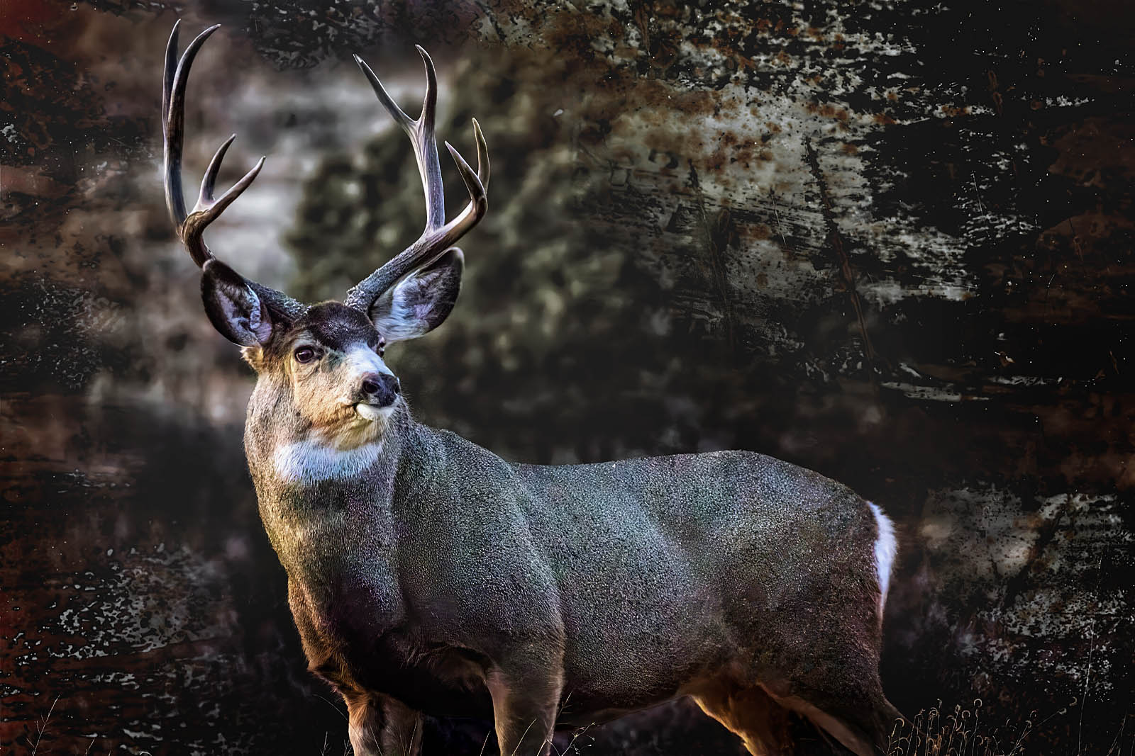 Big Buck Deer Wall Art – Man Cave Canvas Print