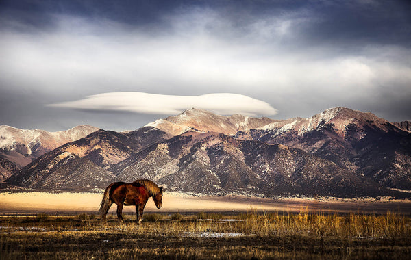 Lone Horse in Mountain Valley Wall Art – Dramatic Western Landscape Print