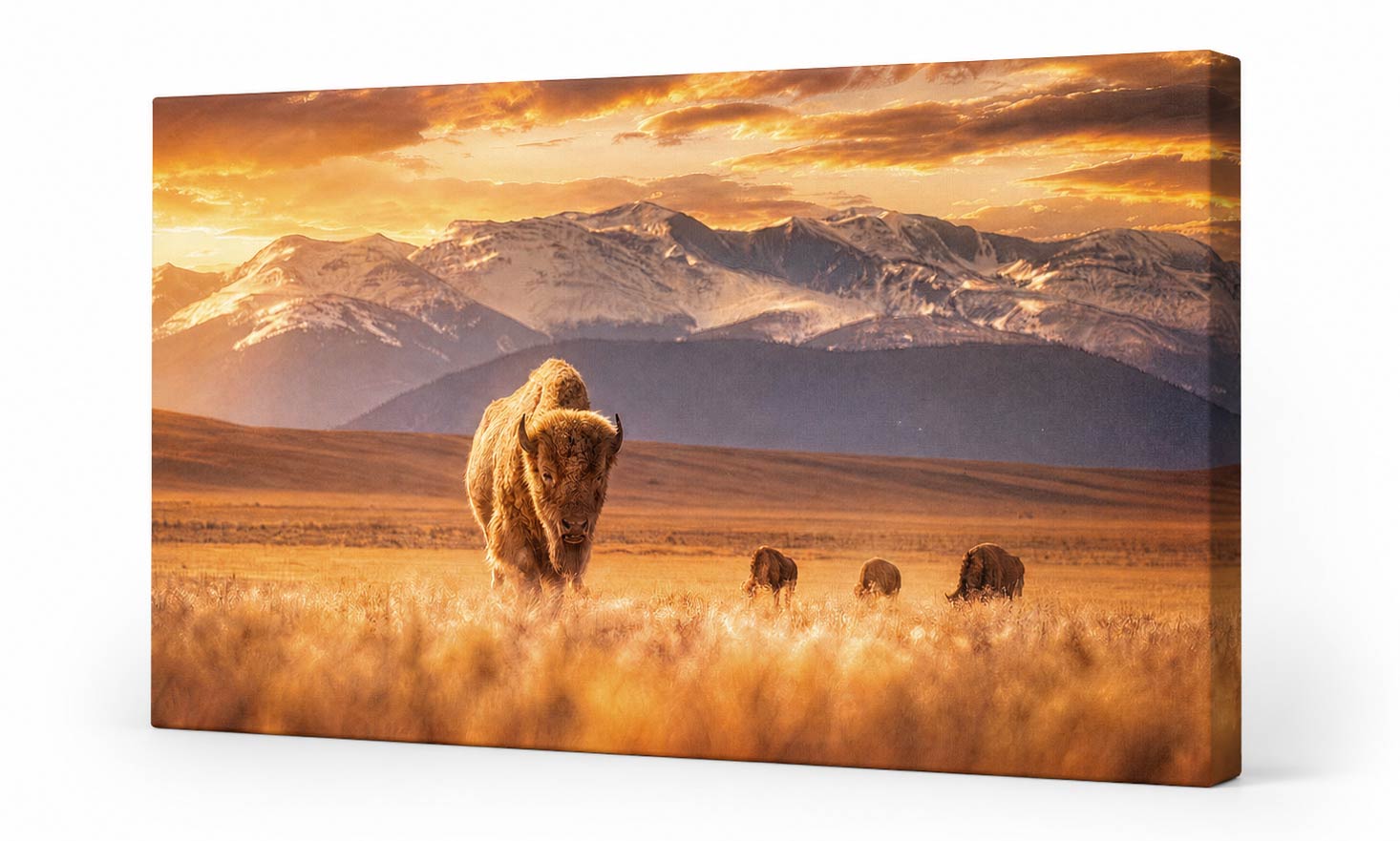 A rectangular wall art print or canvas showing a golden grassland with a bison in the foreground and snow-capped mountains under a dramatic orange sky. The print is photographed at a slight angle against a clean white background.