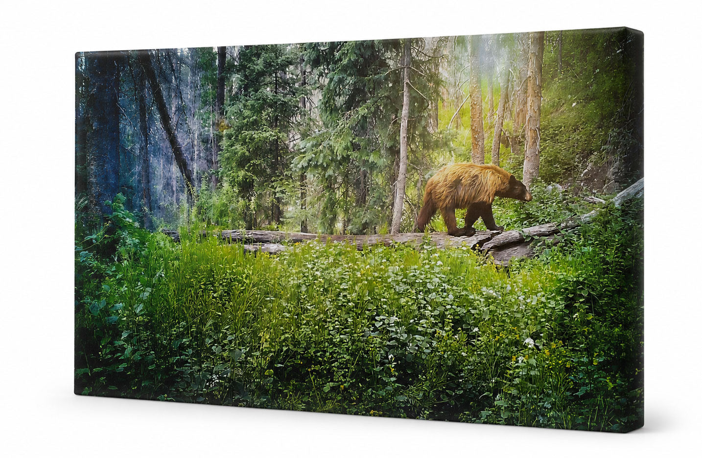 A rectangular wall art print or canvas showing a forest scene with a brown bear walking across a fallen log in a green woodland, photographed against a plain white background.