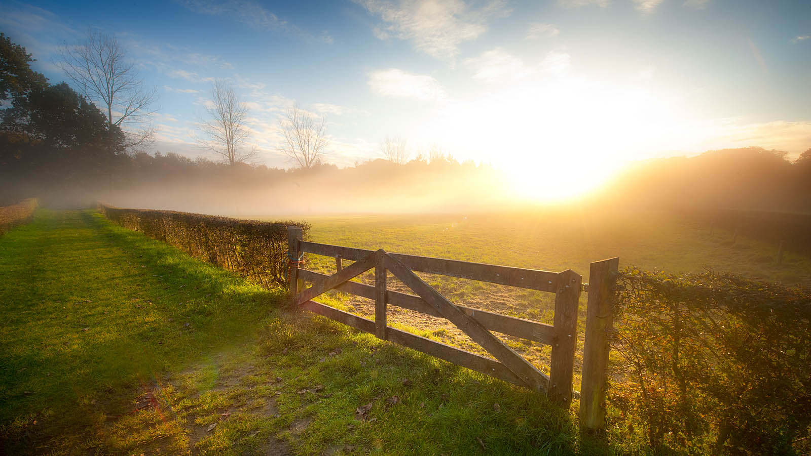 Country Road Wall Art – Misty Meadow Sunrise – Canvas Print / Fine Art Print