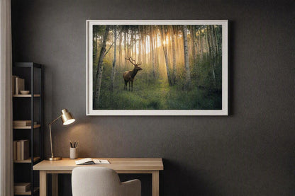 Deer in Woodland Grove Wall Art – Golden Forest Photography Print