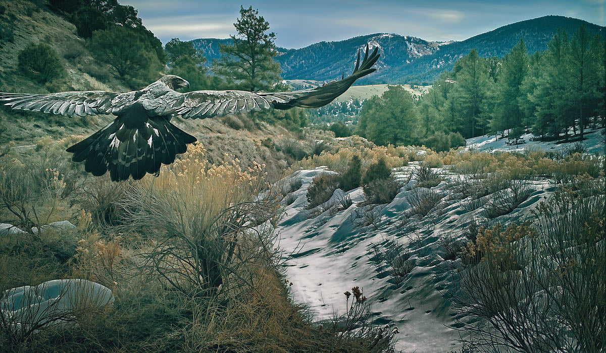 A dramatic landscape scene showing a large eagle in flight over a rocky, brush-covered valley with pine trees and mountains in the background.
