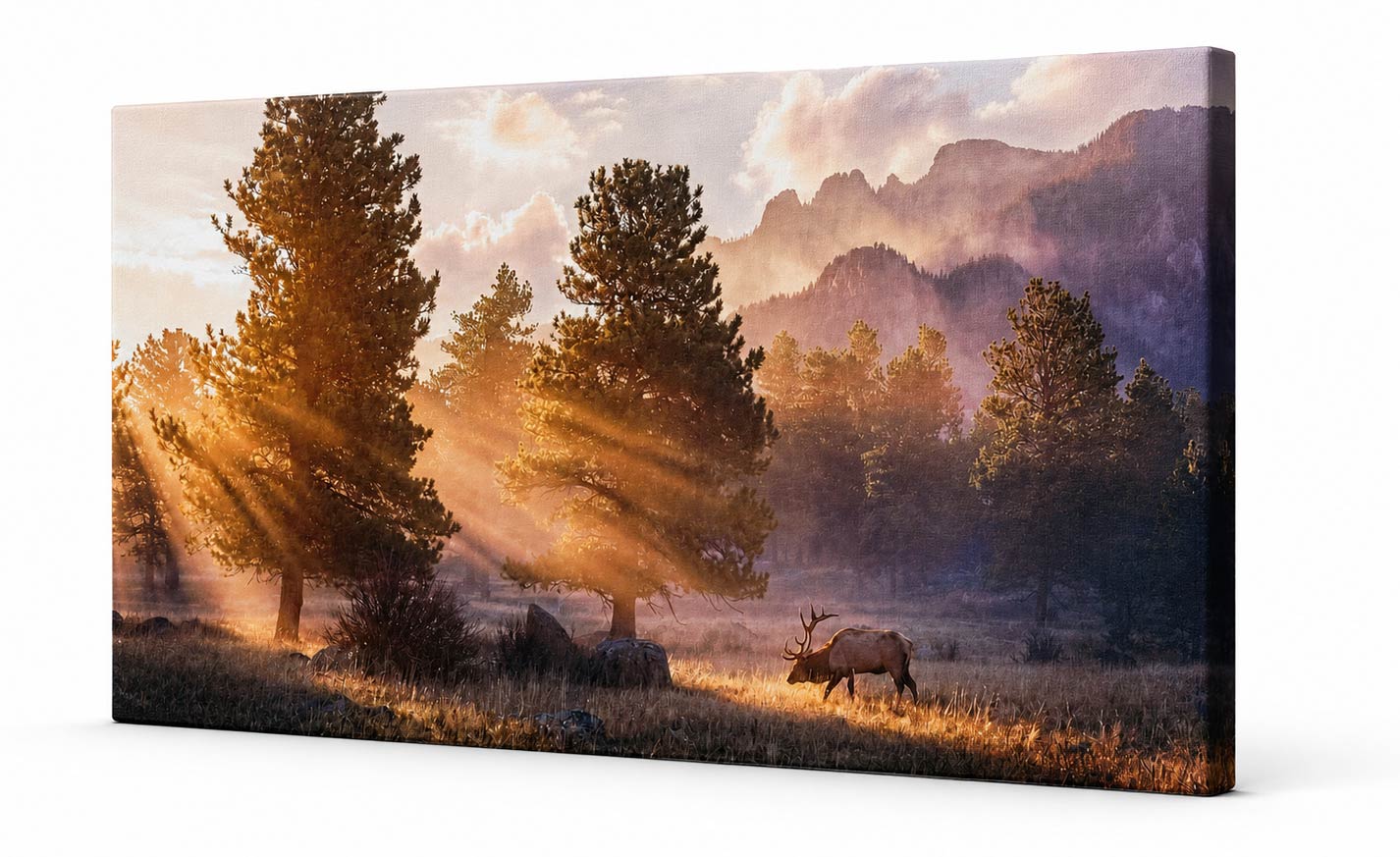 A rectangular canvas wall art print showing a mountain landscape at sunrise with sun rays through trees and an elk in the foreground, photographed against a plain white background.