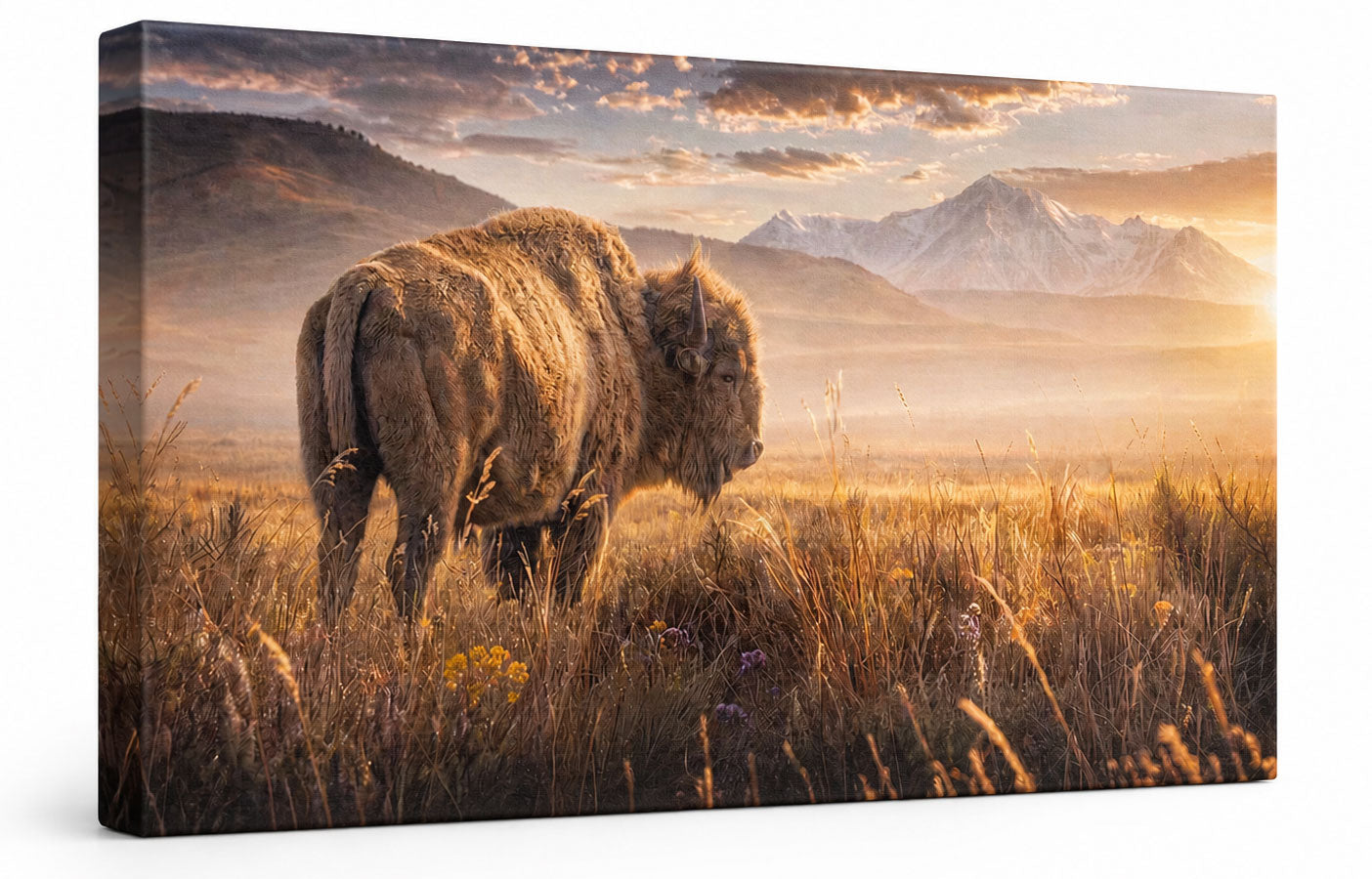 A rectangular wall art canvas showing a bison standing in a golden grassy field with mountains and a dramatic sunset sky in the background, photographed against a plain white studio backdrop.
