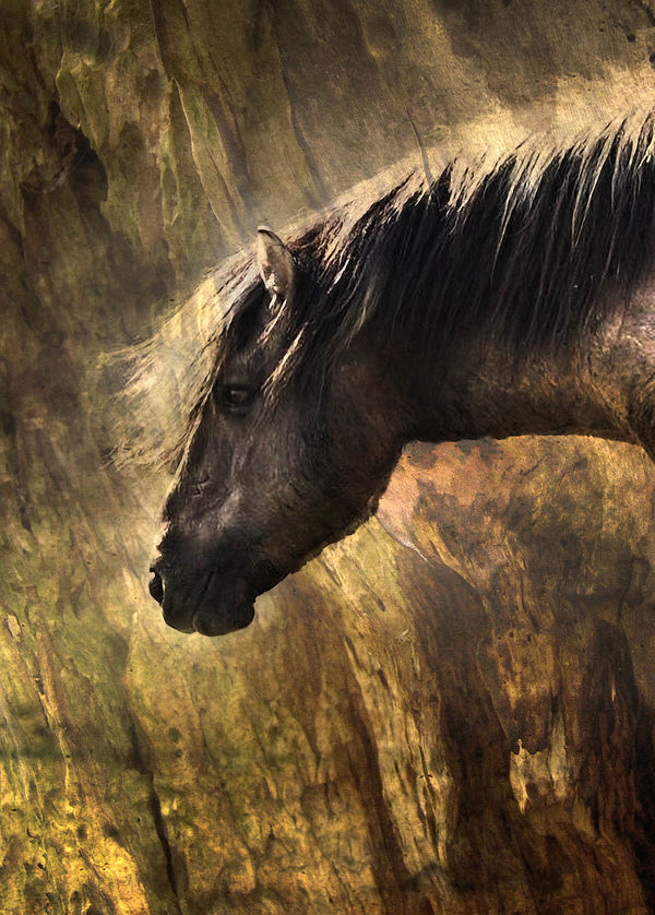 Silent Strength Horse Wall Art – Moody Equine Portrait Fine Art Print