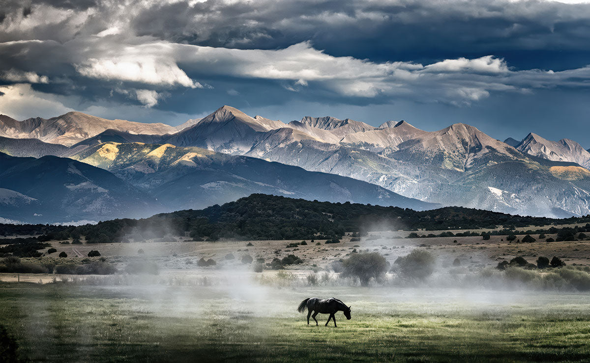 Horse canvas wall art showing a lone horse in a misty mountain valley