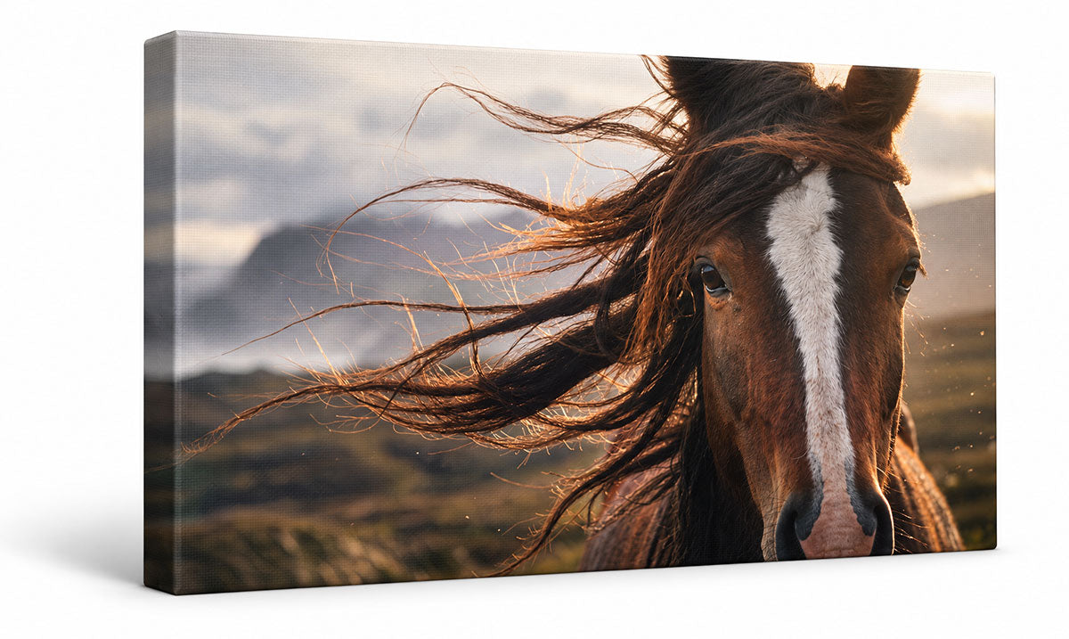 Canvas print mockup of horse head with windblown manes