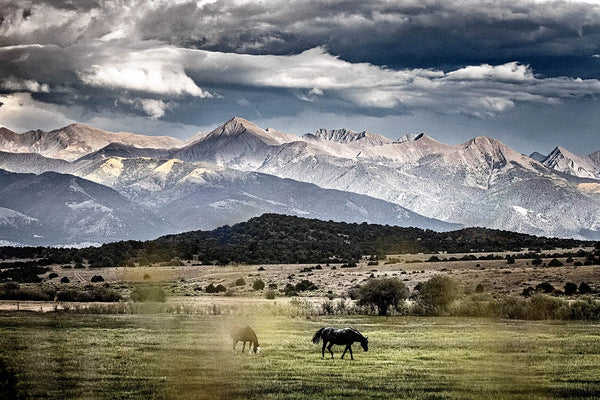 Wild Horses Beneath Stormy Mountains Wall Art – Western Landscape Fine Art Print
