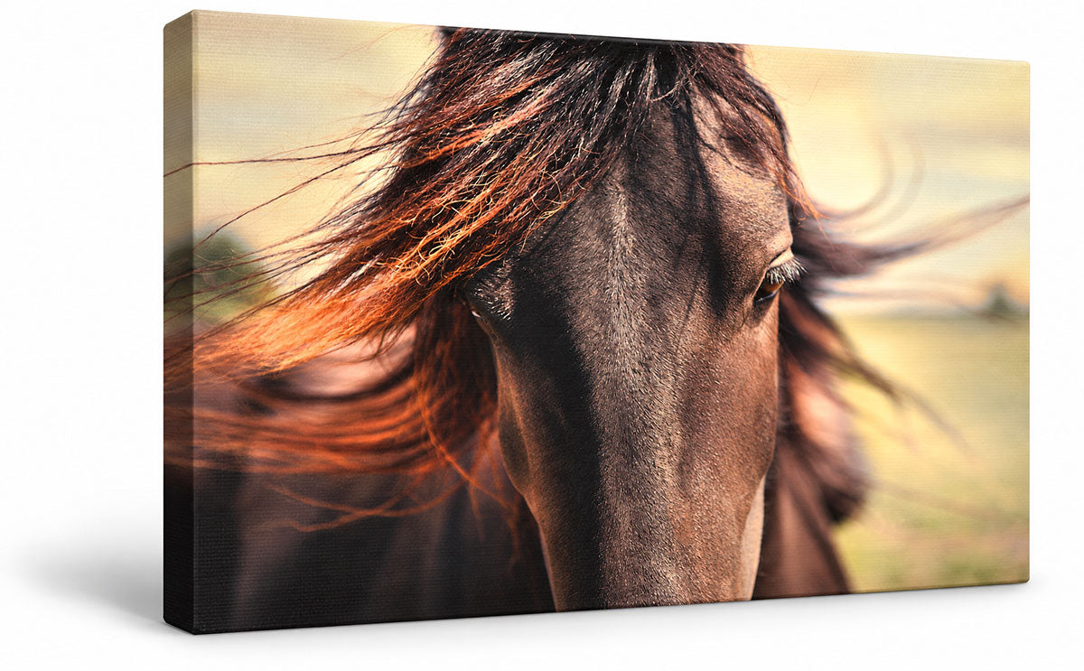 horse portrait canvas print with windswept manes mockup 
