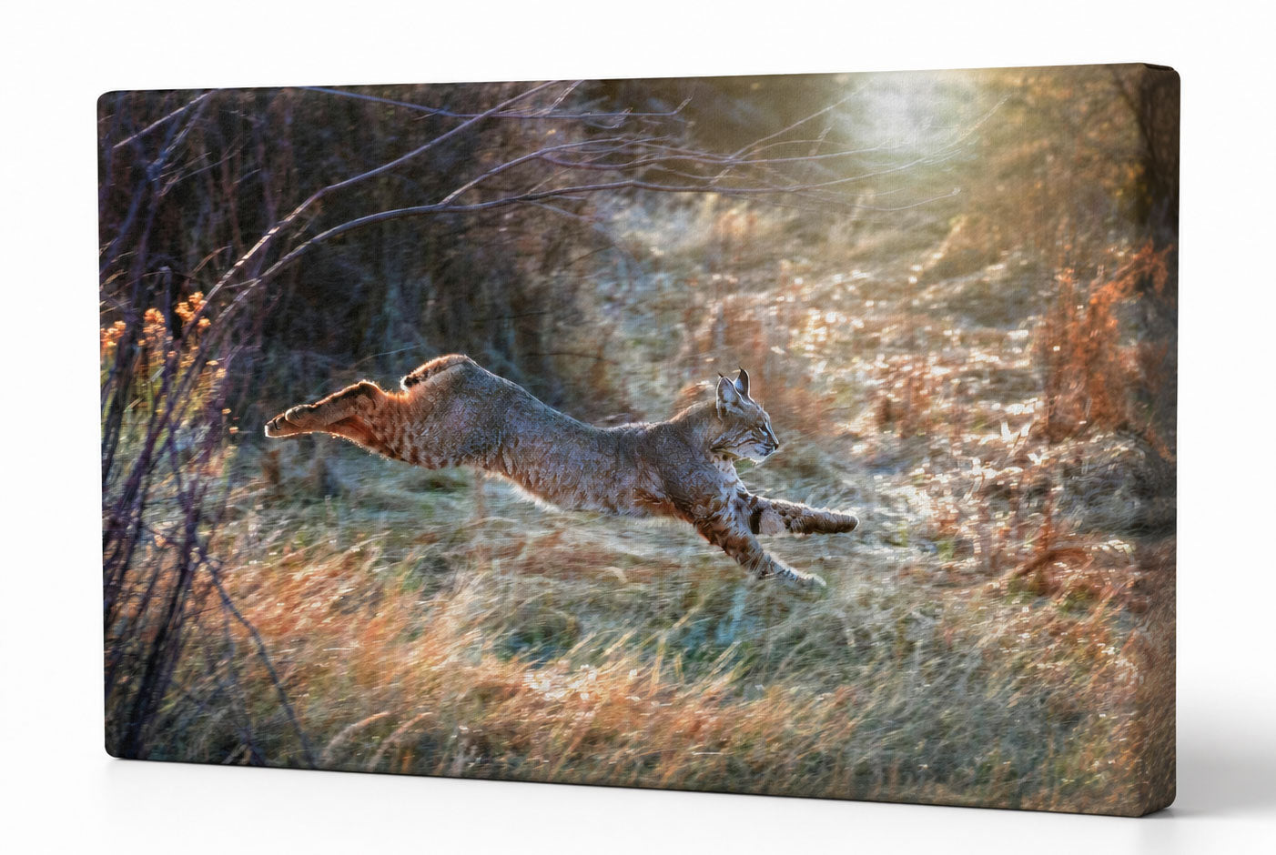 A rectangular canvas wall art print showing a wild cat leaping through a sunlit grassy landscape, photographed against a clean white background with a slight shadow.