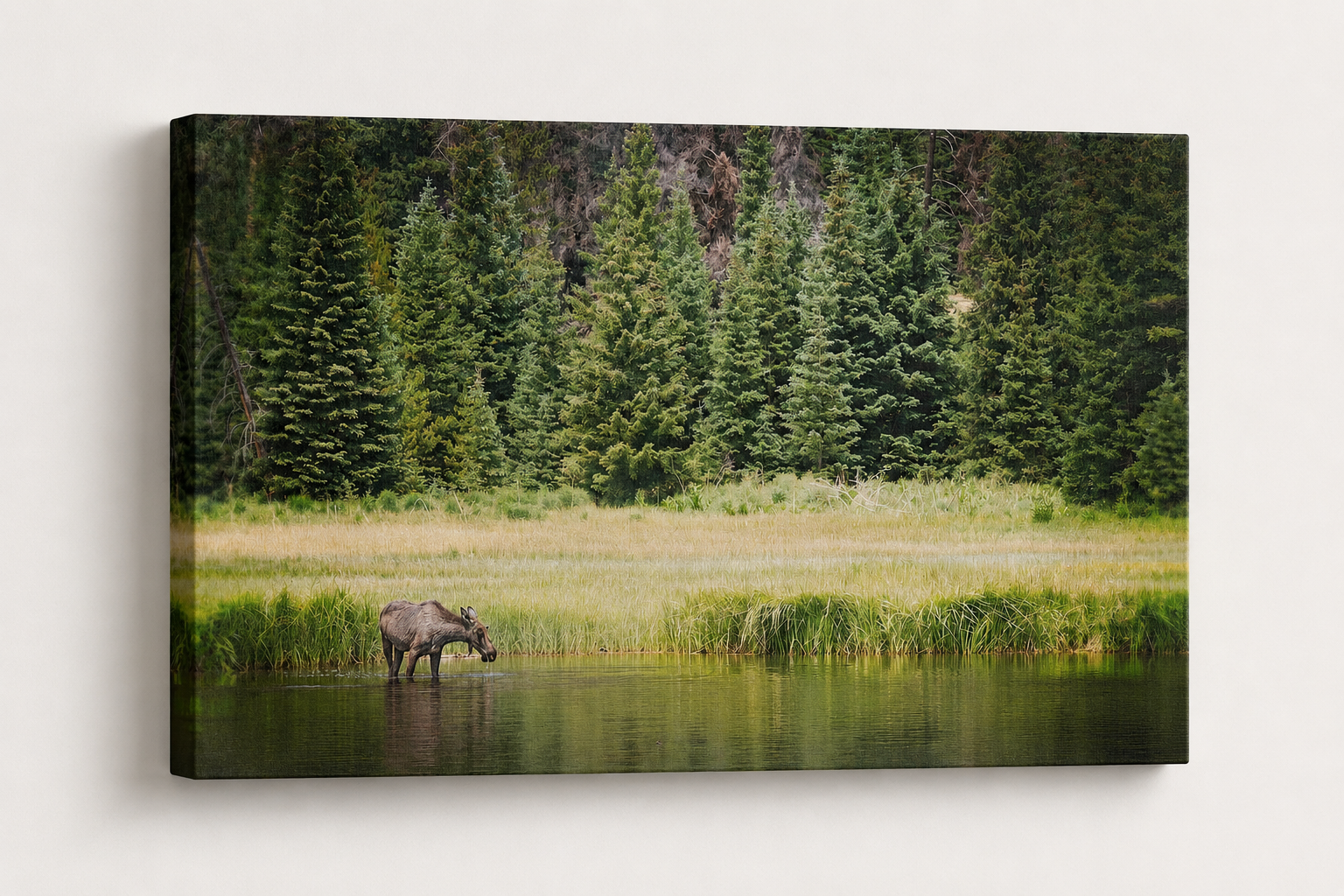 3D gallery wrapped canvas mockup of Moose in Forest Wall Art featuring a peaceful pond wildlife photography print on a premium thin-edge canvas.
