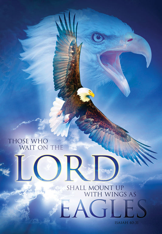Mount Up with Wings as Eagles Isaiah 40:31 Christian wall art canvas print by Dvaid Sorensen