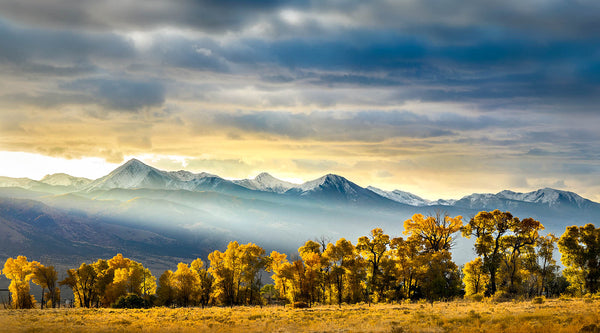 Mountain Range Wall Art – Golden Aspen Sunrise – Canvas Print / Fine Art Print