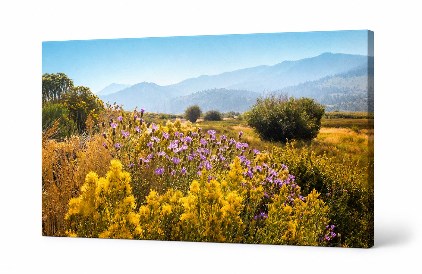 Mountain Wildflower Wall Art – Sunlit Meadow Valley – Canvas Print