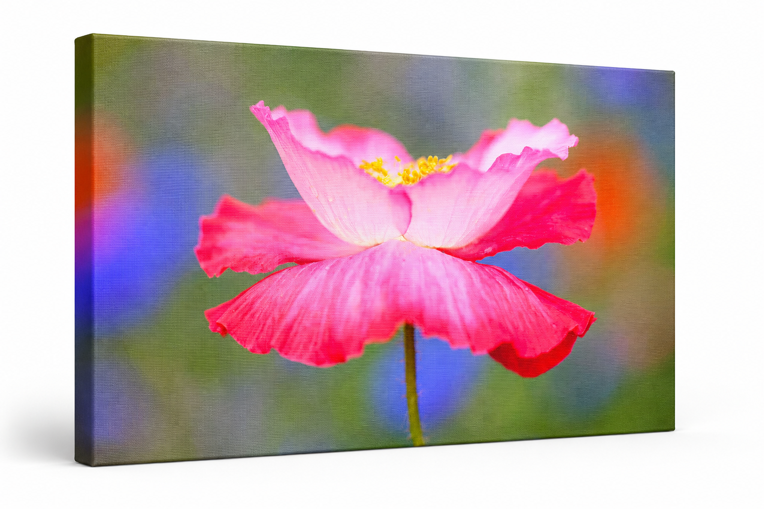 Pink Poppy Wall Art gallery wrapped canvas print 3D product mockup showing premium museum-quality stretched canvas with visible canvas texture and depth.