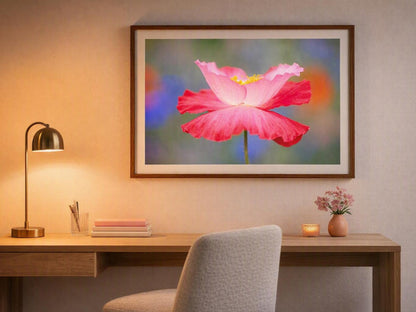 Pink Poppy Wall Art – Colorful Wildflower Photography Print