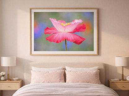 Pink Poppy Wall Art – Colorful Wildflower Photography Print