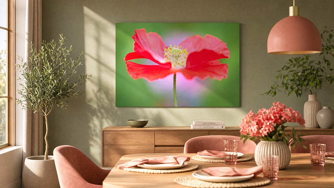A large rectangular wall art print showing a close-up of a bright pink poppy flower on a green background, displayed above a wooden sideboard in a styled dining room with pink chairs, a table setting, plants, and a hanging lamp.