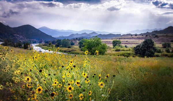 Rustic Mountain Wall Decor Wall Art – Canvas / Fine Art Print