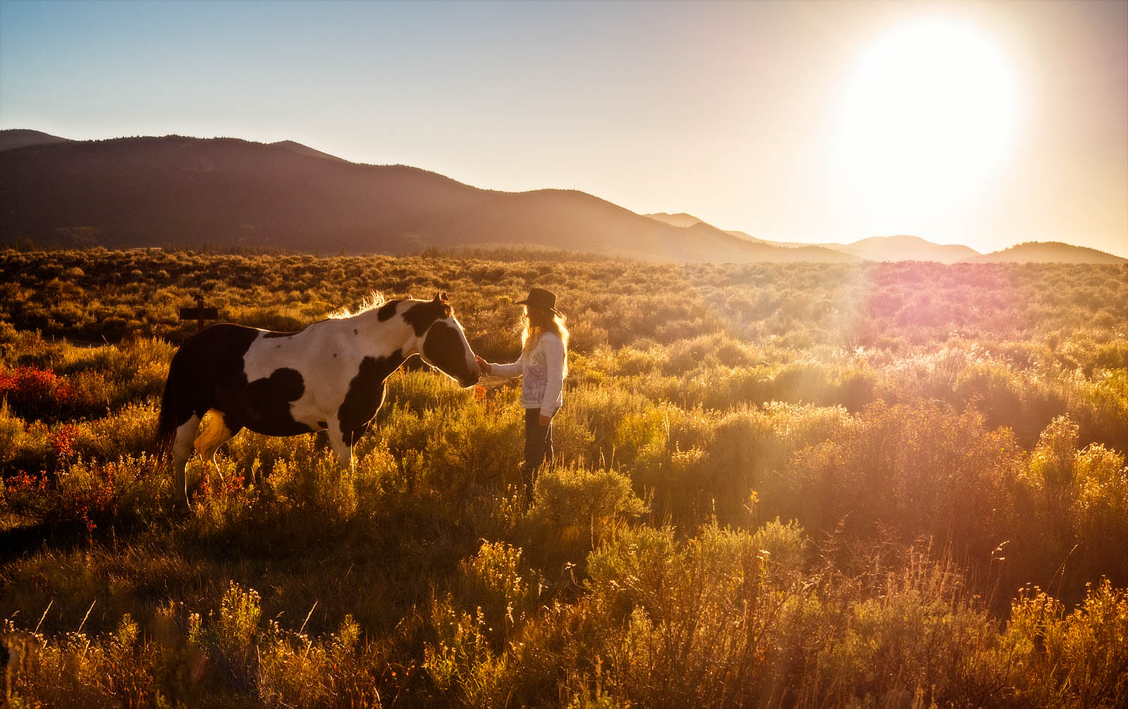 Golden Hour Connection Wall Art – Woman and Horse at Sunset Landscape Print