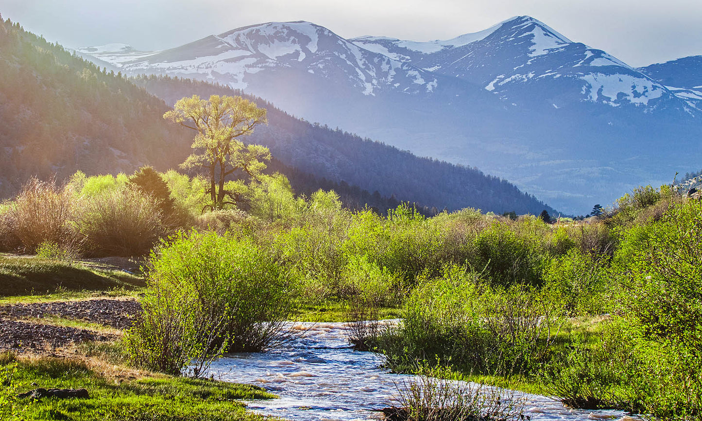 Spring Mountain Landscape Wall Art – Canvas Print / Fine Art Print