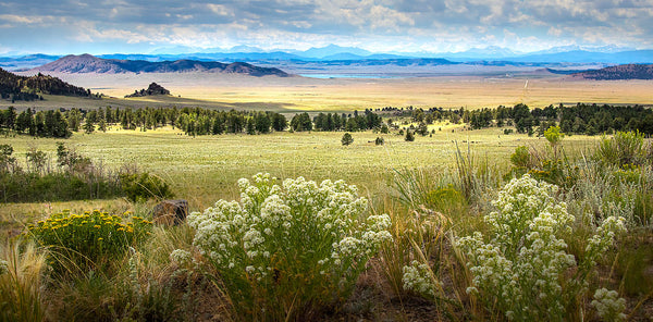 Western Landscape Wall Art – Wide Open Plains Panorama – Canvas Print / Fine Art Print
