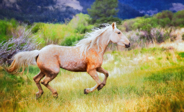 Running White Horse - Oil Painting, Wall Art