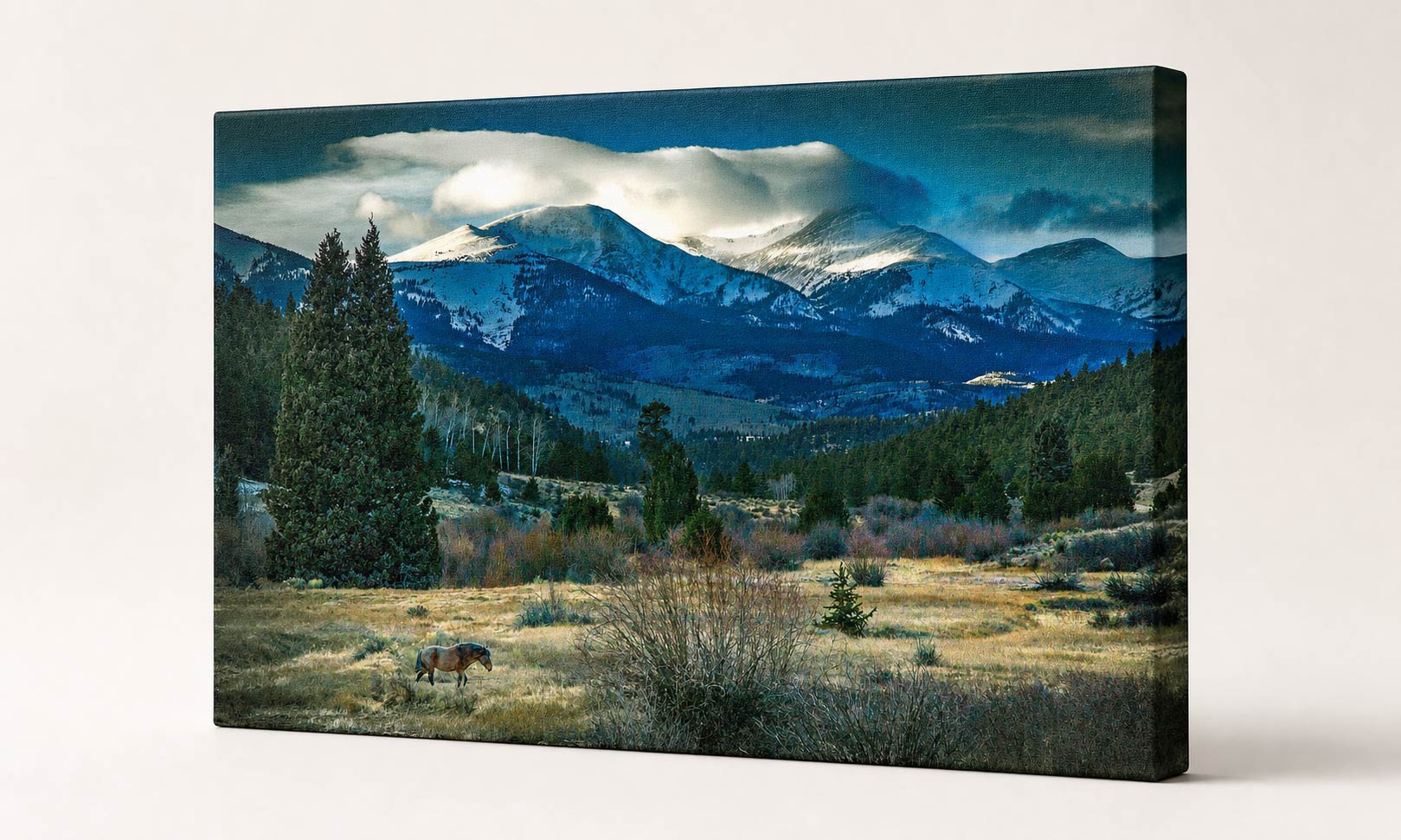 Wild Horse Wall Art – Snowy Rocky Mountain Meadow – Canvas Print / Fine Art Print
