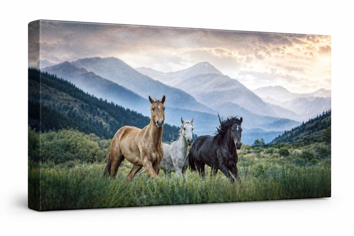 Horse wall art canvas print mockup showing wild horses running in a mountain valley